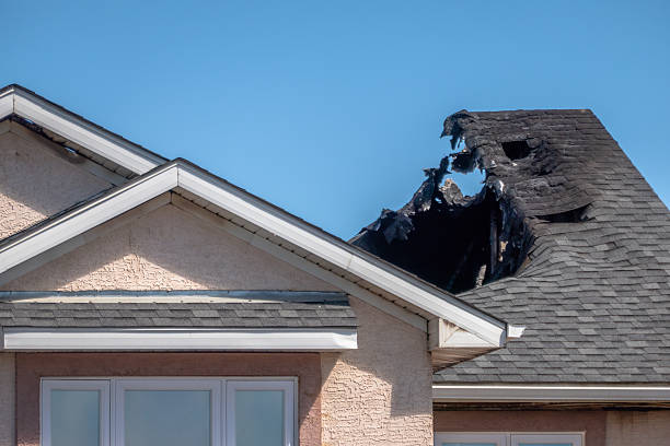 Top rated local Fire Damage Removal specialists in Lakeville, MN